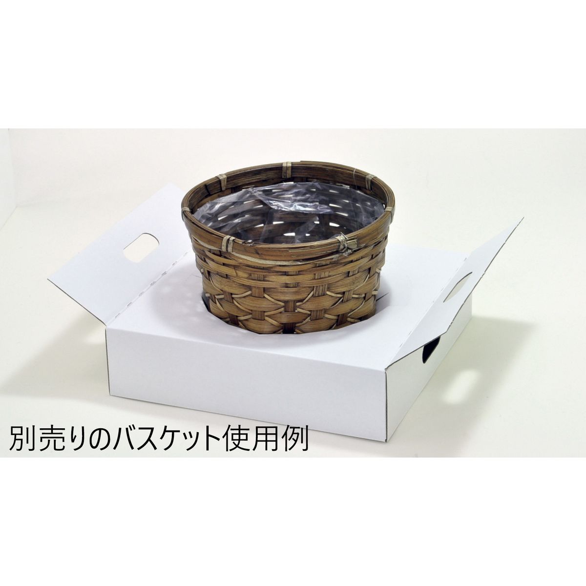 松村工芸/Dボックス　S　21XH58CM/162-1034-0