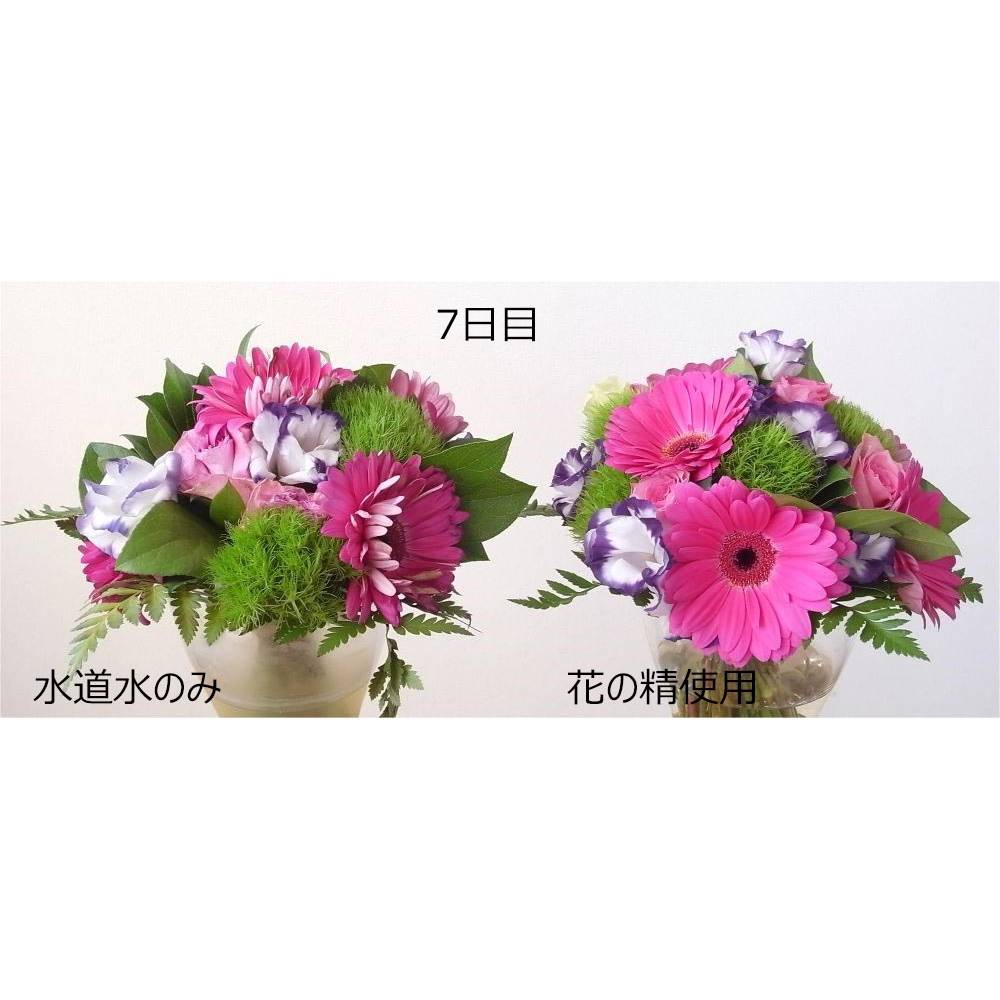 パレス化学/華の精　250ml