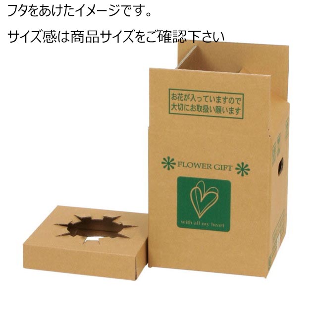 【直送】フラワーメールボックスXLL　5枚/GF028500※返品・代引き不可