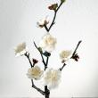 即日★【造花】MAGIQ東京堂/春日梅 S #1 WHITE/FJ002057-001