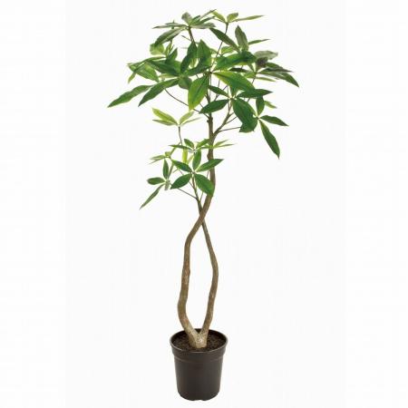 【直送】【人工観葉植物】MAGIQ東京堂/パキラ 4F (光触媒)/ZV022000 ※返品代引キャンセル不可
