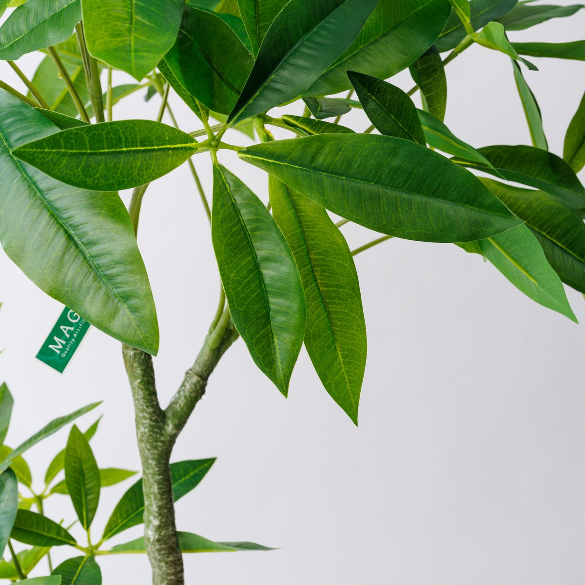 【直送】【人工観葉植物】MAGIQ東京堂/パキラ 4F (光触媒)/ZV022000 ※返品代引キャンセル不可