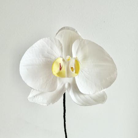 即日★【造花】東京堂/アミュゼファレノ　#1　　WHITE/FW090184-001