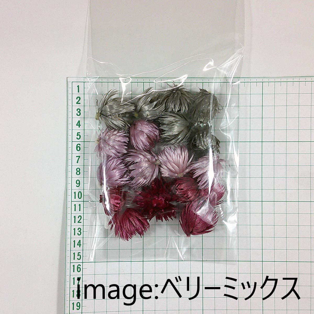 即日★【ドライ】シルバーデージーヘッド大・小アソート ブルーミックス/FD004951