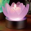 即日★LOTUS GRACE mini ミックス/SR083601