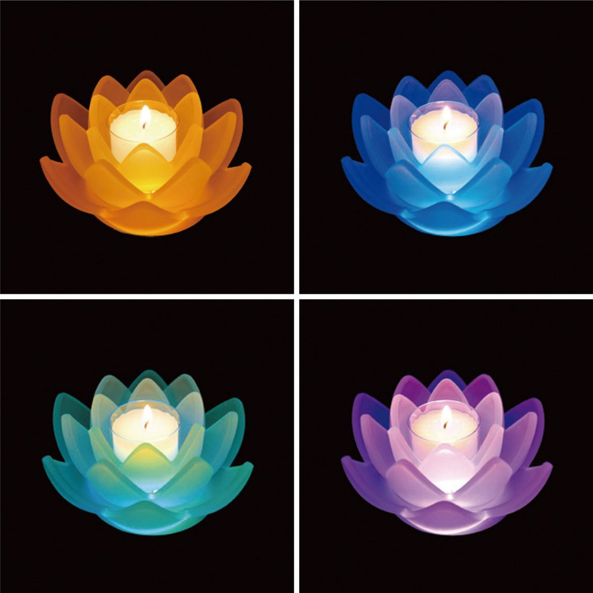 即日★LOTUS GRACE mini ミックス/SR083601