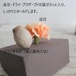 即日★サハラスリー 1個箱/SJ002304
