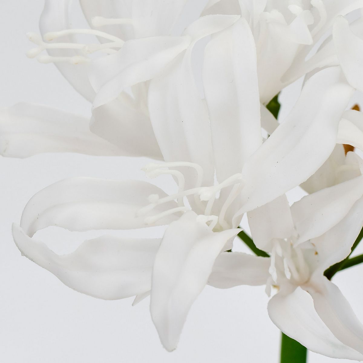 【造花】MAGIQ東京堂/ReCO インプレスネリネ #1  WHITE ホワイト/FM302514-001