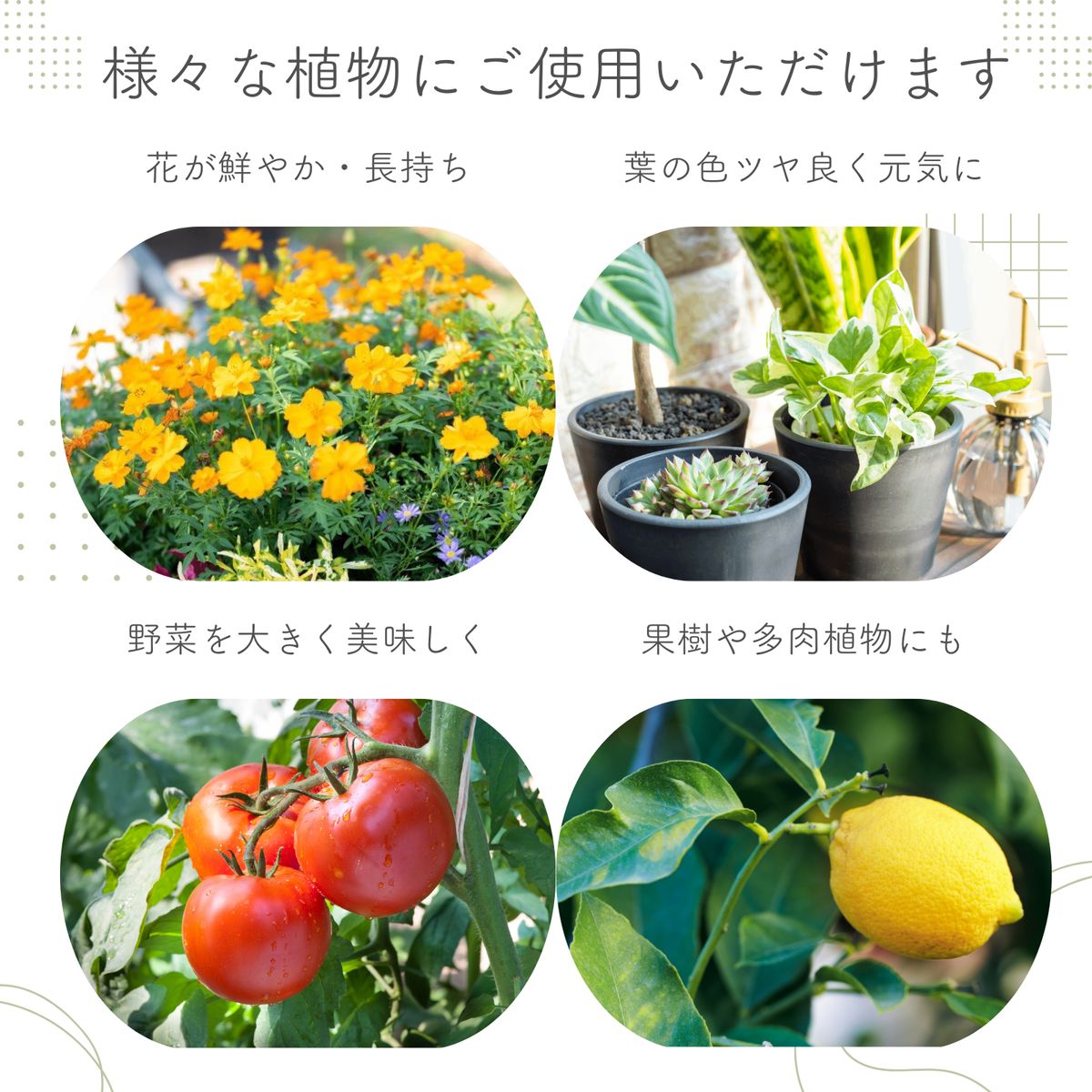 自然暮らし/水でうすめる有機液肥 150ml/1250601