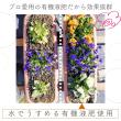 自然暮らし/水でうすめる有機液肥 150ml/1250601