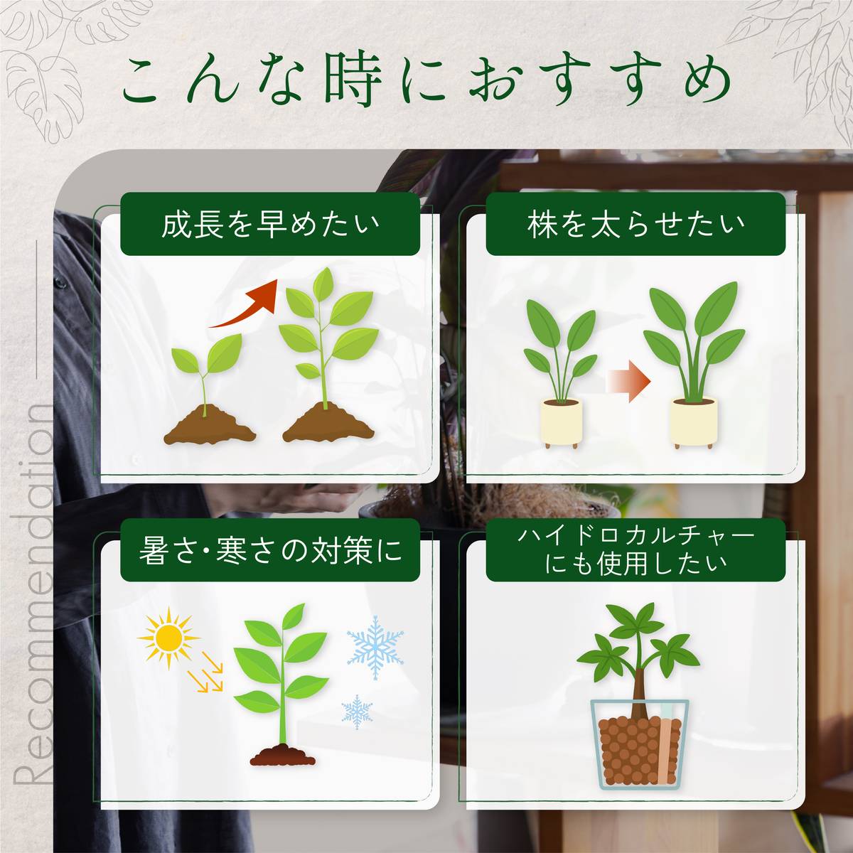自然暮らし/水に溶かして速く効く粉末液肥　100g・20ml/1250605
