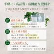 自然暮らし/水に溶かして速く効く粉末液肥　100g・20ml/1250605