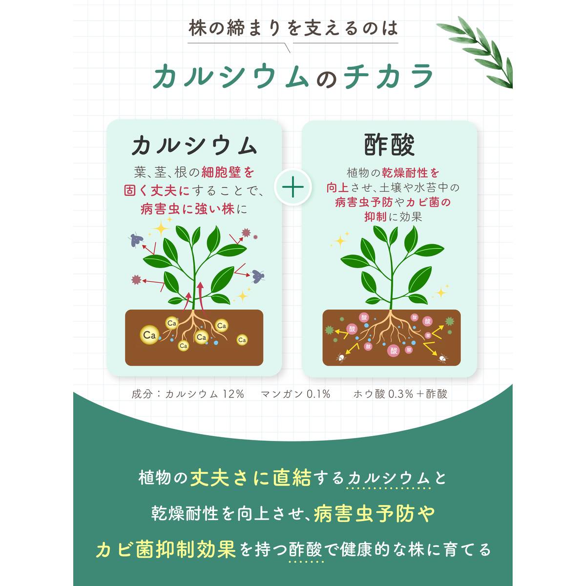 自然暮らし/水に溶かして速く効く粉末液肥　100g・20ml/1250605