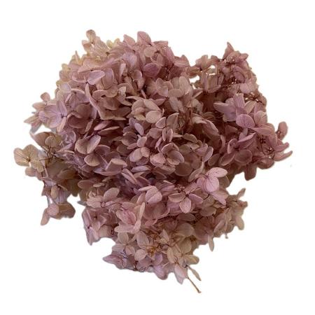 大特価◎即日★【プリザーブド】GARDEN PALETTE MONO/ピラミッドアジサイ グレープミックス 約15g/GPPB-03