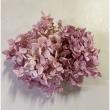 大特価◎即日★【プリザーブド】GARDEN PALETTE MONO/ピラミッドアジサイ グレープミックス 約15g/GPPB-03