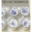 大特価◎即日★【プリザーブド】GARDEN PALETTE MONO/ミアローズ 8輪 ラベンダー/GP920-09