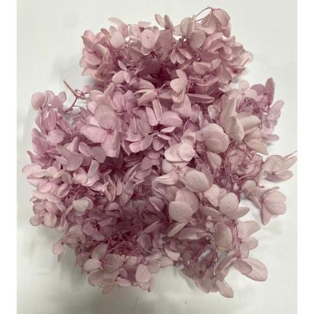 大特価◎即日★【プリザーブド】GARDEN PALETTE MONO/ピラミッドアジサイ オーキッドアイス 約15g/GPPBK-05