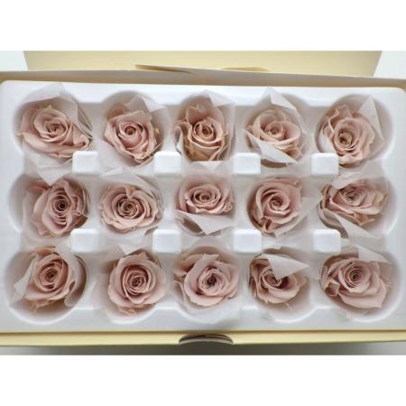 B級特価◎【プリザーブド】GARDEN PALETTE MONO/ミアデミローズ スノーピンク 15輪/B級XGP927-07