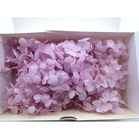 B級特価◎【プリザーブド】GARDEN PALETTE MONO/アナベルアジサイ ソフトライラック 約15g/B級XGPA-24
