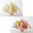 オアシス/Just for flowers(カラースプレー)　ブーゲンビリア 400ml/126