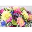 オアシス/Just for flowers(カラースプレー)　ライラック 400ml/139