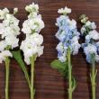 即日★オアシス/Just for flowers(カラースプレー)　デルフィニウムブルー 400ml/0137-ES