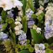 即日★オアシス/Just for flowers(カラースプレー)　デルフィニウムブルー 400ml/0137-ES