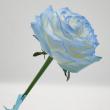 即日★オアシス/Just for flowers(カラースプレー)　ハイドレンジアブルー 400ml/0135-ES
