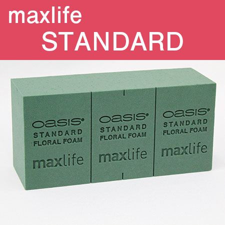 即日★オアシス/スタンダードmaxlife　1ブリック売り
