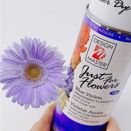 即日★オアシス/Just for flowers(カラースプレー) ブルーバイオレット 400ml/0136-ES