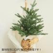 【造花】YDM/バスケットクリスマスツリー/CAB-066