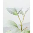即日★大特価◎【造花】YDM/スノーラムズイヤースプレー グリーン/FS-6239GR