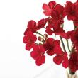 即日★大特価◎【造花】YDM/ベルベットミニフラワーピック5P レッド/FS-6344-R