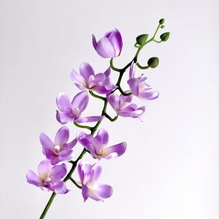 【造花】YDM/コンフォートシンビジューム ライトラベンダー/FD-0170L/L