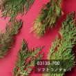 即日★【プリザーブド】大地農園/コノデヒバ　70g　グリーン/03130-700