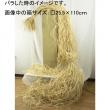 即日★大地農園/マダガスカルラフィア　1巻　N/60750-000