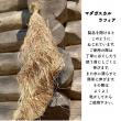 即日★大地農園/マダガスカルラフィア　1巻　N/60750-000