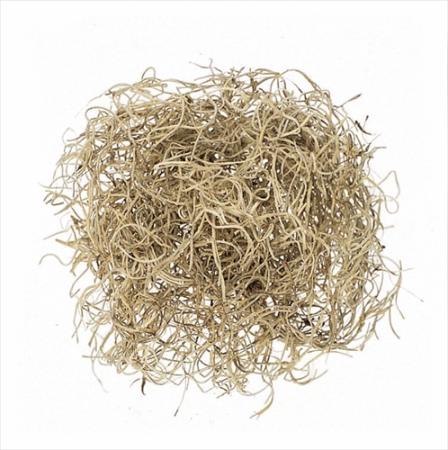 即日★【ドライ】大地農園/スパニッシュモス　小袋　50g　N/61061-000