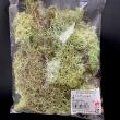 即日★【プリザーブド】大地農園/アイスランドモス　小袋　40g　グリーン/61071-700