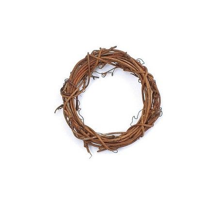 特価◎即日★大地農園/サンキライリース 7cm 12個 N/70031-000