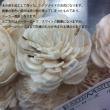 即日★【ハンドメイドフラワー】大地農園/ソーラーローズ　小　10本　クリスタルピンク/32081-110