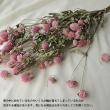 即日★【ドライ】大地農園/千日紅　約35g　ピンク/10120-100