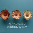 即日★【ドライ】大地農園/コンパクター　6本　N/40240-000
