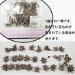 即日★【ドライ】大地農園/スターアニス　35g　スノー/21020-982