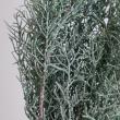 即日★【プリザーブド】大地農園/ブルーアイス　約100g　ウォッシュホワイト/01260-012