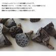 即日★【ドライ】大地農園/ミニハス・小　約20個　N/22420-000