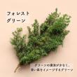 即日★【プリザーブド】大地農園/ヒムロスギ・ショート 約60g フォレストグリーン/01326-780