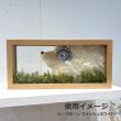 特価◎即日★【ドライ】大地農園/シープホーン 3個 N/22570-000