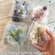 即日★フラワーアソートパック littlePetit(キュート)はなどんやオリジナルアソート