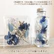 即日★フラワーアソートパック littlePetit(クール)はなどんやオリジナルアソート